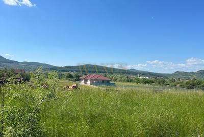 Teren Construcții intravilan de 12000 mp, în Nord