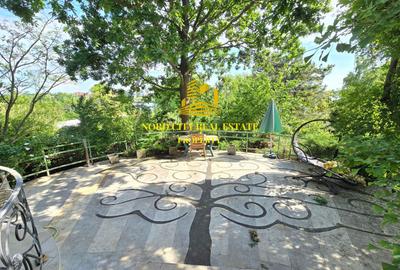 VILA PE MALUL LACULUI | IZVORANI | PONTON PROPRIU - 36