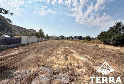 Ovidiu, teren 1238mp - 2