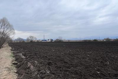Teren 50000mp Extravilan-Intrare Halchiu-Cod 5235 - 8