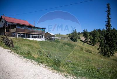 Teren 56599mp Dambovicioara / Soseaua DN 73Dealul sasului! - 12