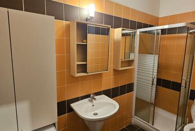 Penthouse - 4 camere - Central Park - Barbu Vacarescu - 20