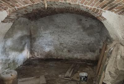 Comision zero! Vand casa în comuna Gârnic Caraș-Severin - 11