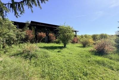 Refugiu Slanic Prahova, Casa cu 5.2 Ha, Panoramă,  Natura & Potențial Turistic - 3