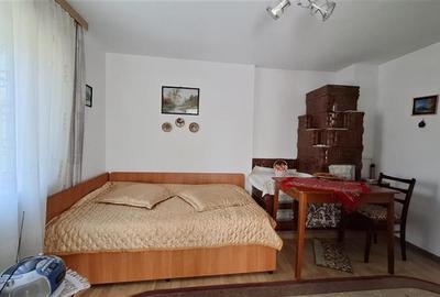 Casa cu teren 2783 mp- Panciu-Satu Nou - 4