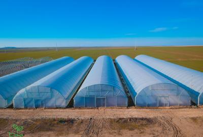 🌱 FERMĂ AGRICOLĂ MODERNĂ, COMPLET ECHIPATĂ ȘI AUTOMATIZATĂ – DE VÂNZARE - 3