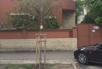 Vila cu personalitate - 6 camere in Cotroceni - 2