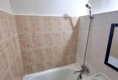 Apartament cu 1 cameră, foarte spațios, parter, clădire istorică, zona Traian - 5