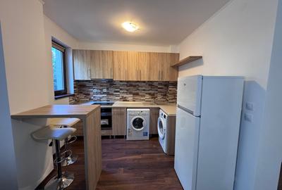 Închiriere Apartament 2 Camere Open Space Mitropolie Mobilat+Utilat - 4