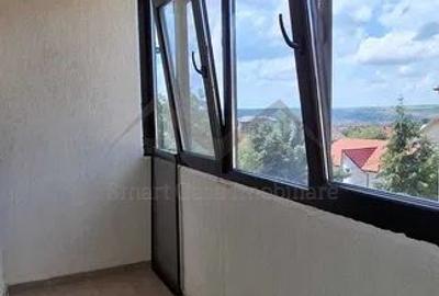 Apartament 3 camere Valea Lupului strada Mestecanis - 6