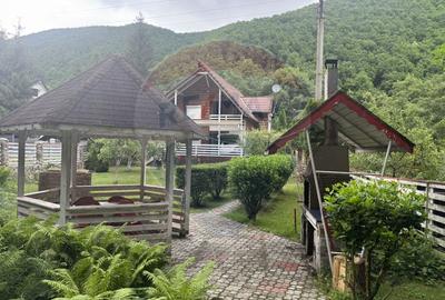 Cabana autentica de munte Frasinet - Baisoara 600 mp teren - 15