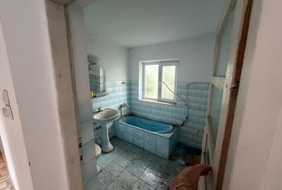 Casa - Vila | Purcareni Micesti Arges | S+P+1+M| teren 4900mp | Livada - 10