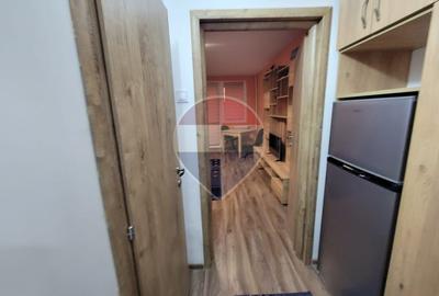 Garsonieră modernă complet renovata in Vatra Luminoasă - 3