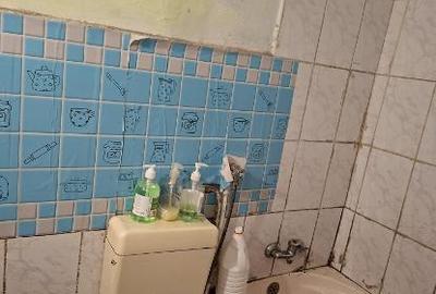 De vanzare garsoniera in Mureseni langa magazinul Darina - 5
