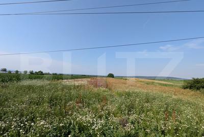 Teren Construcții intravilan de 3000 mp, în Comișani