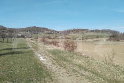 Teren Construcții intravilan de 90000 mp, în Aninoasa