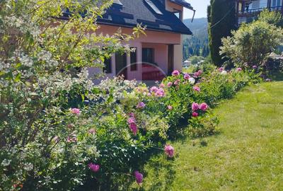 Pensiune - Domeniu montan - Casa si cabana 14 camere de vânzare - 1