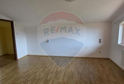 Casa P+M de vanzare in Valea Voievozilor Aleea Manastirii - 15