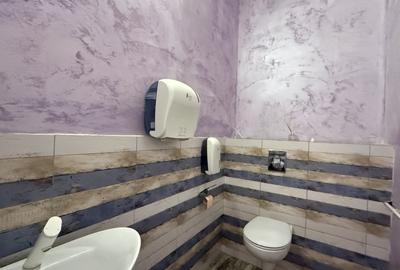 Spatiu comercial 435 mp stradal cu vitrina 36 m chiar pe DN39 Tuzla Costinesti - 13