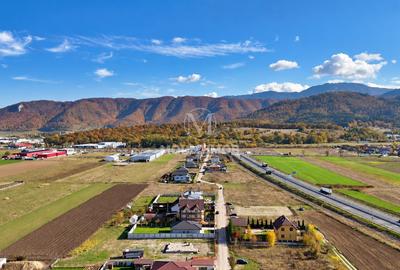 Preț de apartament, spatiu si libertate de casă, Cristian/Brasov - 15