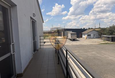 Teren Construcții intravilan de 5392 mp, în Lumina