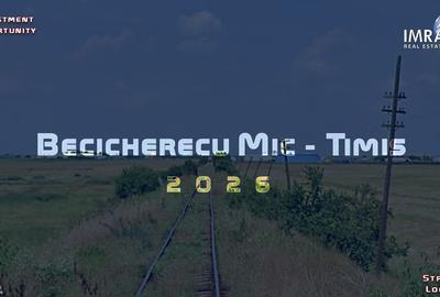 Proprietate Industrială de Vânzare (Hală & Teren) - Becicherecu Mic, Timiș - 12