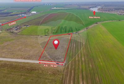 Teren intravilan 10.000 mp în Zona Industrială Sud Arad - 7