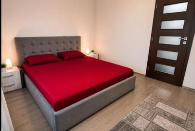40401  Apartament 2 camere Energia - 7