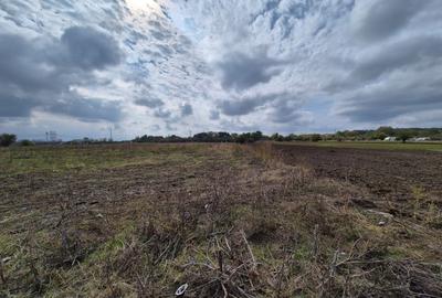 Teren 5.000 mp | Deschidere 28 ml | Jilava | Investiție - 3