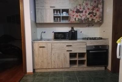 Apartament 2 cam - Furnica -Central - 5