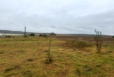 Vanzare 10.000 mp teren Liteni Suceava- la strada -potrivit proiect fonduri - 9