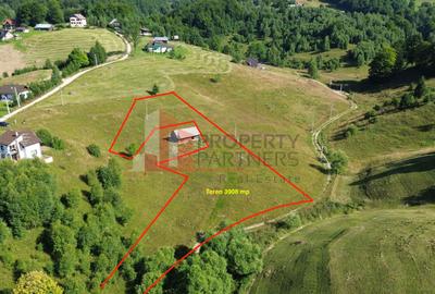 Teren Construcții intravilan de 3908 mp, în Dâmbovicioara