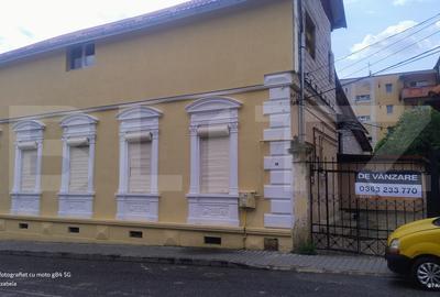 Casă individuală cu 8 camere în Central