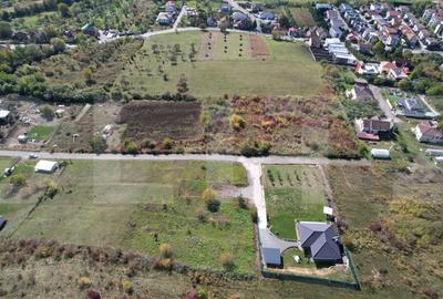 Teren Construcții intravilan de 6896 mp, în Borhanci