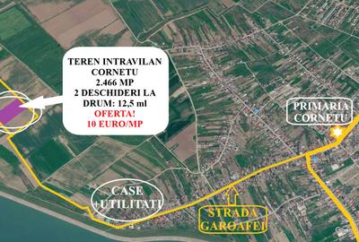 Proprietar – Teren Intravilan Cornetu - 2.466 mp, 10 €/mp – 2 Deschideri la drum - 3