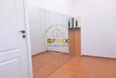 Vanzare zona Armeneasca,Casa eclectica sec XX,curte individuala,3 niveluri 295mp - 6