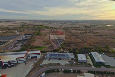 Hală în parc industrial Borș 1, teren 2.903 mp, de vânzare - 13