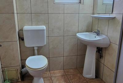 Vila central,de inchiriat, S+P+1E- Chitila - 6