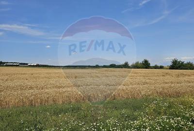 Vanzare Teren Intravilan Buftea, 750mp, str. Ulmului, Pista Biciclete - 2