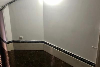 Armeneasca - Mantuleasa 5 camere 118 mp utili liber - 6