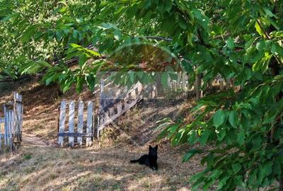 Cabană de vânzare în satul Plopi, Valea Ierii, județul Cluj - 12