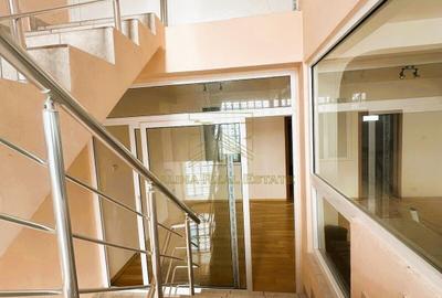 Vanzare - Vila Premium cu Potential de Business - Vidra - 33