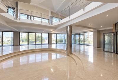 Spatiu Showroom - 1