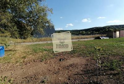 Teren Construcții intravilan de 3500 mp, în Hamba