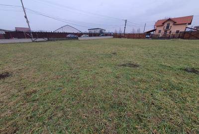 Teren 6.130 mp. deschidere la 2 drumuri 110 euro mp - 13