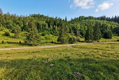 Oportunitate Investiție–Teren Intravilan 2.763 mp, Poiana Brașov Str. Stânii - 5