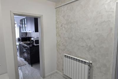 Alexandru - Chimicale - 2 camere - renovat- modern - mobilat - geam baie - 3