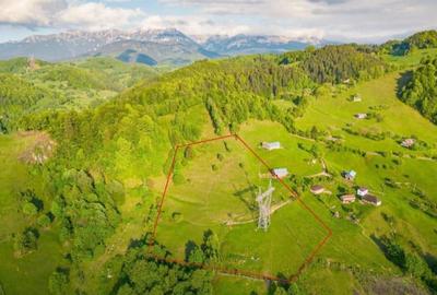 Teren, Zona de Interes Turistic-Cheile Gradistei,  8800mp - 2