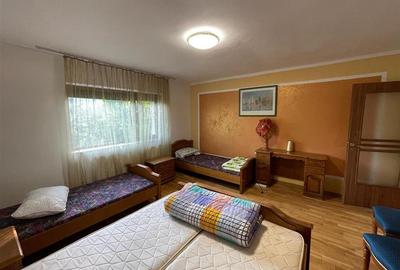 Cabana/Vila de inchiriat Valea Budului, Margineni - 16