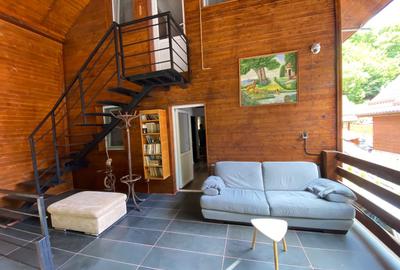 Splendoarea naturii imbinata cu stilul modern=pensiune exclusivista - 7